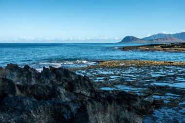 Güneşli bir günde Oahu Hawai sahilindeki sahneler.