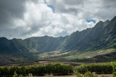 Güneşli bir günde Oahu Hawai sahilindeki sahneler.