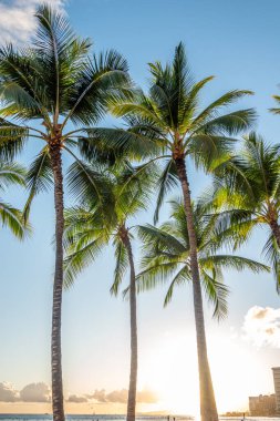 Gün batımında waikiki oahu Hawaii plaj sahneleri