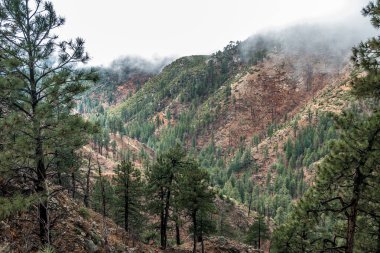 Tonto Ulusal Ormanı 'ndaki Mogollon Rim dağ sırası. Payson yakınlarında, Gila County, Arizona Usa 