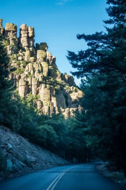 Chiricahua Dağları Ulusal Parkı, Arizona, ABD.