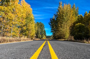 Sonbahar doğa renkleri ve strsight yolu