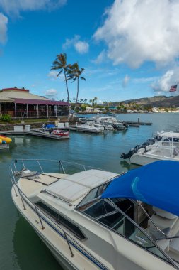 Koko başkanı Oahu Hawai 'nin etrafındaki sahneler