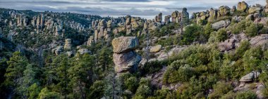 Chiricahua Dağları Ulusal Parkı, Arizona, ABD.