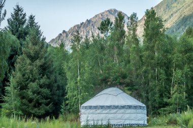 Kygyzstan 'daki ala archa vadisi etrafındaki güzel doğa sahneleri