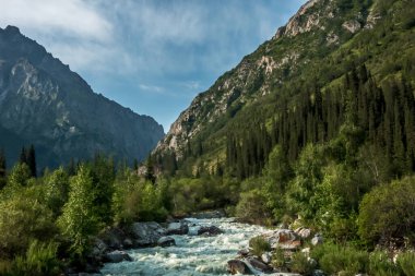 Kygyzstan 'daki ala archa vadisi etrafındaki güzel doğa sahneleri