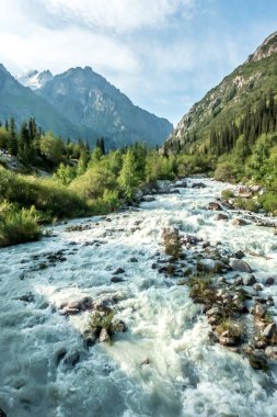 Kygyzstan 'daki ala archa vadisi etrafındaki güzel doğa sahneleri