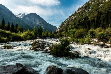 Kygyzstan 'daki ala archa vadisi etrafındaki güzel doğa sahneleri