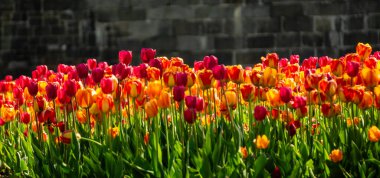 Canada, Old Quebec City tourist attractions, and beautiful architecture