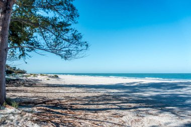 Sahilde deniz manzaraları Madeira Sahili Florida yakınlarında.