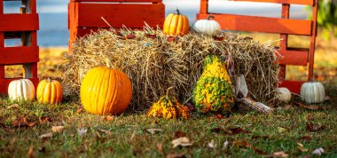 Cadılar bayramı yaz sonu süslemeleri ve hasat