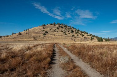 Shastina California Gölü 'ndeki muhteşem doğa manzarası.