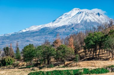 Kuzey Kaliforniya 'daki Shasta Dağı' nda mavi gökyüzü
