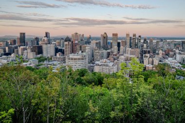 Montreal şehir manzarası panorama günbatımında mont royal albümünden kentsel gökdelenler ile görüntülendi.