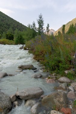 Ala-Arça gorge yaz günü, Kırgızistan içinde dağ manzara Panoraması.