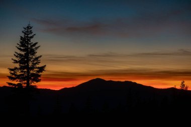 Mount Shasta Şelalesi yakınlarındaki dramatik doğa sahneleri California 