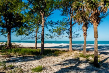 Sahilde deniz manzaraları Madeira Sahili Florida yakınlarında.