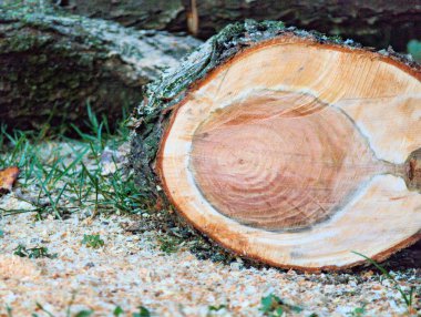 Elektrikli testereyle kesilen sandık.