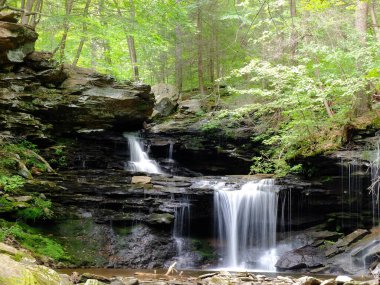 Ormandaki şelale, Ricketts Glenn State Park, PA, Benton, ABD