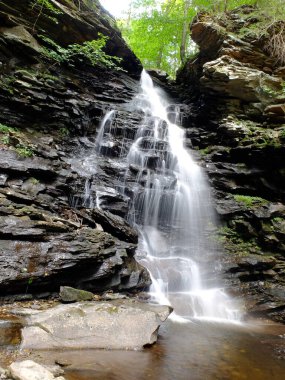 Ormandaki şelale, Ricketts Glenn State Park, PA, Benton, ABD