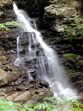 Ormandaki şelale, Ricketts Glenn State Park, PA, Benton, ABD