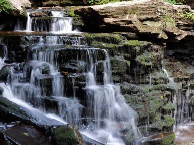 Ormanda güzel bir şelale, Ricketts Glenn State Park, PA, Benton, ABD