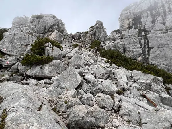 stock image Berchtesgaden national park landscape. Rocks and stones in morning fog.