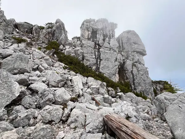 stock image Berchtesgaden national park landscape. Rocks and stones in morning fog.