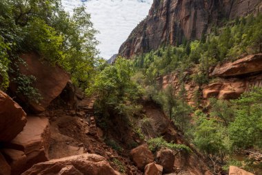 Kremadan, pembeden ve kırmızıdan oluşan devasa kumtaşı kayalıklarına bak. Parlak mavi gökyüzüne doğru süzülüyor. Dar bir kanyonda vahşi doğayı deneyin - burası Zion Ulusal Parkı, Utah, ABD turizm merkezleri