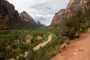 Kremadan, pembeden ve kırmızıdan oluşan devasa kumtaşı kayalıklarına bak. Parlak mavi gökyüzüne doğru süzülüyor. Dar bir kanyonda vahşi doğayı deneyin - burası Zion Ulusal Parkı, Utah, ABD turizm merkezleri
