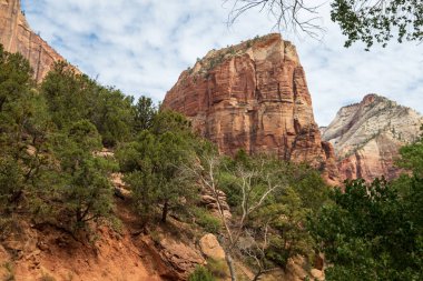 Kremadan, pembeden ve kırmızıdan oluşan devasa kumtaşı kayalıklarına bak. Parlak mavi gökyüzüne doğru süzülüyor. Dar bir kanyonda vahşi doğayı deneyin - burası Zion Ulusal Parkı, Utah, ABD turizm merkezleri