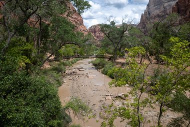 Kremadan, pembeden ve kırmızıdan oluşan devasa kumtaşı kayalıklarına bak. Parlak mavi gökyüzüne doğru süzülüyor. Dar bir kanyonda vahşi doğayı deneyin - burası Zion Ulusal Parkı, Utah, ABD turizm merkezleri