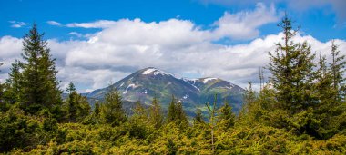Ormanda muhteşem ve gizemli bir yol. Karpatlar 'ın Ukrayna, Avrupa' daki dağlarının bulunduğu yer. Egzotik sahne görüntüsü. Canlı fotoğraf duvar kağıtları. Toprağın güzelliğini keşfedin.