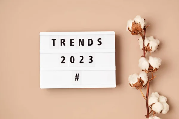 Lightbox Text Trends 2023 Popular Tendencies Trends New Year Concept — Stock Photo, Image