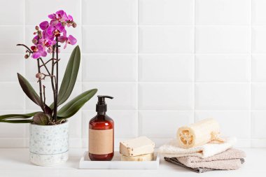 Banyo tasarımı ve organizasyonu. Organik yaşam tarzı ve cilt bakım ürünleri. Banyo doldurulabilir, yeniden kullanılabilir aksesuarların modern minimal tasarımı