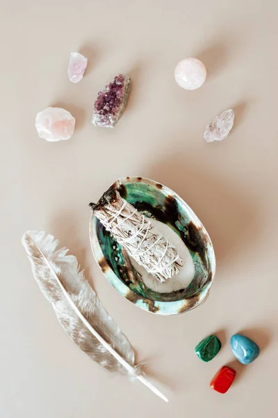 Smudge Kit Met Witte Salie Stok Abalone Zeeschelp Natuurlijke Elementen — Stockfoto