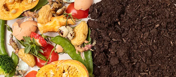 Food leftovers for compost and composted soil. Recycling scarps, sustainable and zero waste lifestyle concept. Fruits and vegetable garbage waste turning into organic fertilizers. Top view, flatlay