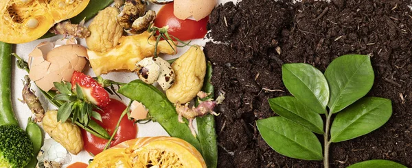 Food leftovers for compost and composted soil. Recycling scarps, sustainable and zero waste lifestyle concept. Fruits and vegetable garbage waste turning into organic fertilizers. Top view, flatlay