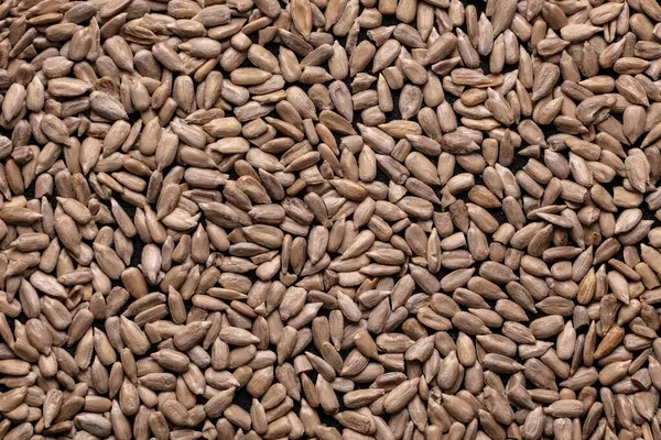 Texture Background Peeled Sunflower Seeds Stock Picture