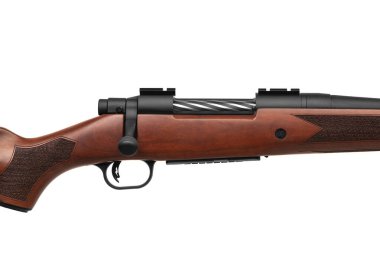 Modern bir sürgülü karabina ve ahşap bir stok. Spor, av ve nefsi müdafaa için silahlar. Beyaz arkaplanda izole et.