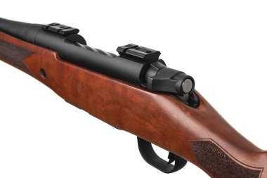Modern bir sürgülü karabina ve ahşap bir stok. Spor, av ve nefsi müdafaa için silahlar. Beyaz arkaplanda izole et.