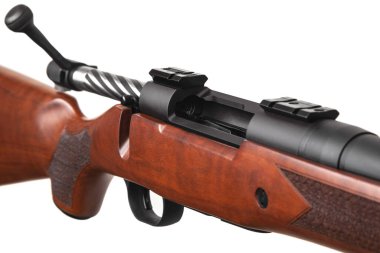 Modern bir sürgülü karabina ve ahşap bir stok. Spor, av ve nefsi müdafaa için silahlar. Beyaz arkaplanda izole et.