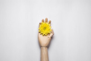 Tahta manken elinde sarı bir çiçek, beyaz bir arka planda..