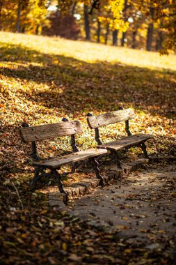 İşlenmiş demir bacaklı iki ahşap sırık, düşen sonbahar yapraklarıyla çevrili bir parkta, taştan bir patikada oturur ve sıcak güneş ışığıyla yıkanır, dingin ve resimli bir sonbahar sahnesi yaratır..