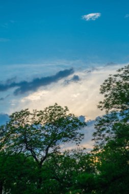 Gün batımında dağınık bulutlarla sakin bir gökyüzü, yemyeşil ağaçlar tarafından çerçevelenmiş, sakin ve pitoresk bir manzara yaratır..
