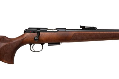 22 kalibrelik tahta ve siyah namlulu bir tüfek. Beyaz arka planda izole edilmiş sürgülü mekanizma ve demir görüşü var..