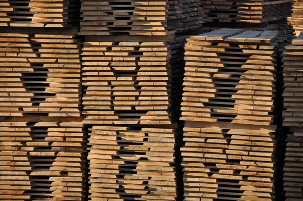 Wood factory stock and lumber board with nature business export. Stack of new wooden planks. Close up. Wooden planks for construction are sold in market. Stack of lumber wood in timber log storage