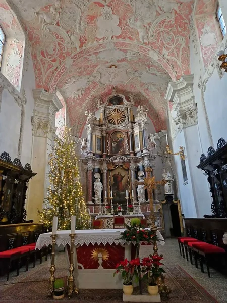 Rijeka Croatia Styczeń 2023 Kościół Wniebowzięcia Najświętszej Maryi Panny Jest — Zdjęcie stockowe