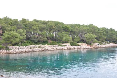 Mali Losinj körfezindeki Hırvat plajları Suncana uvala 'daki turkuaz deniz ve beyaz kayalıklar. Sakinleştirici arka plan