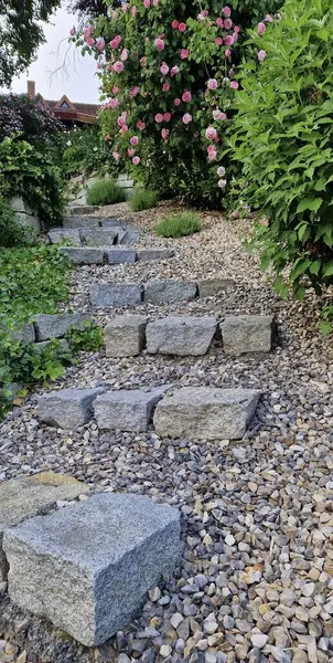 Stone path way in the garden. Stone walkway in the rock garden. Pink roses in background